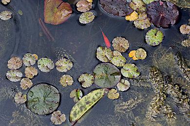 《星刃》角色被刻意打造得理想且美丽：人类完美化身